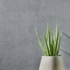 1005 XSTONE mineral veneer roll Concrete grey smooth