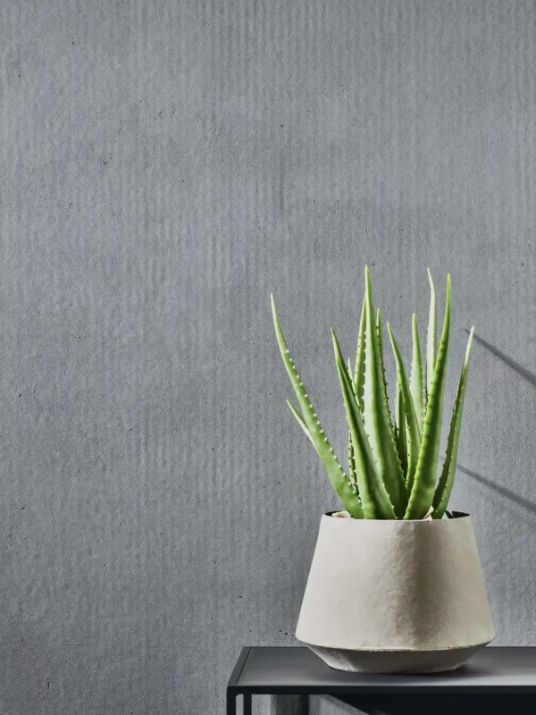 1005 XSTONE mineral veneer roll Concrete grey smooth