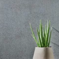 XSTONE 1005 Smooth medium grey concrete