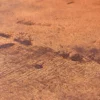 1012 Rust Smooth closeup