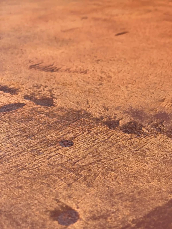 1012 Rust Smooth closeup
