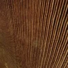 1019 XSTONE mineral veneer roll Rust High Rise