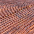1019 High Rise Rust closeup