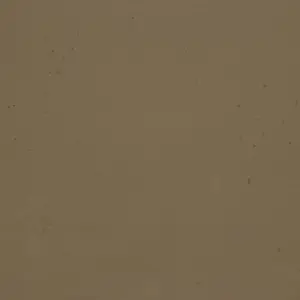 10006 | Grey dark beige