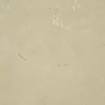 XStone - Couleur - Reed light green