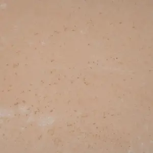 XStone - Color -Beige light red