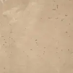 Xstone-Color-Beige de Lecce