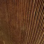 effet rouille striée flexible